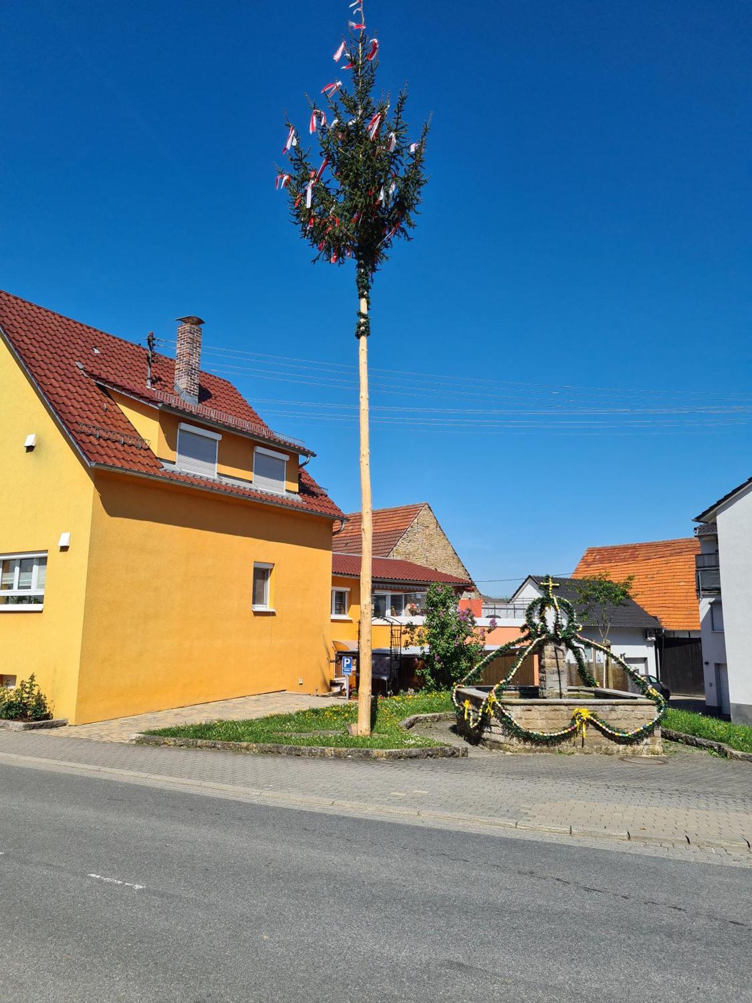 Ferienwohnung Pflueger Mit Terrasse Lauda-Königshofen Esterno foto